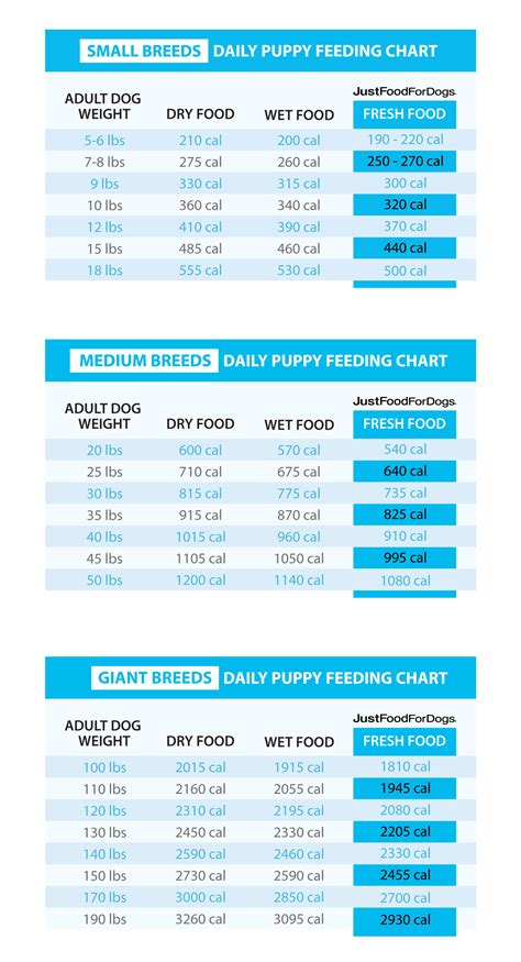 三個月幼犬食量如何調配？掌握正確餵養技巧，讓小狗健康成長！